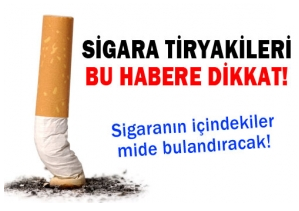 sigara, sigaranın zararları